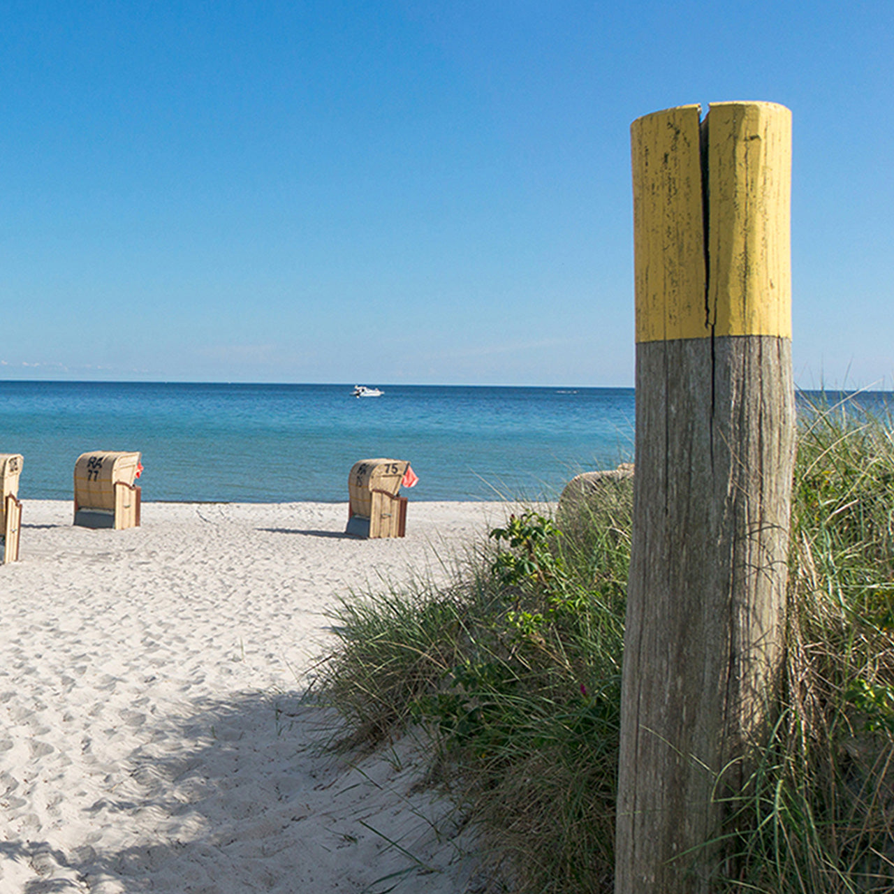 Canvas Print Strandkörbe Meerblick