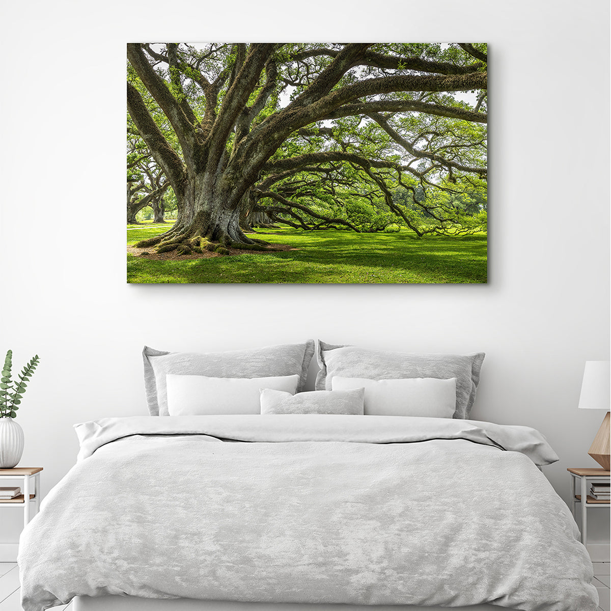 Canvas Print Baum der Ewigkeit